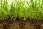 Kowguransub-soil-drainage-6.jpg; ?>